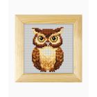 Cross Stitch Kit - Owl (With Frame) 