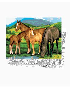 Painting By Numbers - Horses & Foals