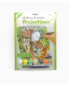 Painting by Numbers - Tigers