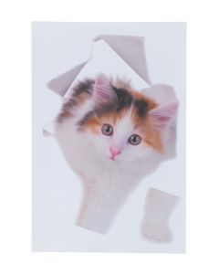 Cat Stickers 3D - Set of 6