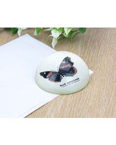 Red Admiral Paperweight